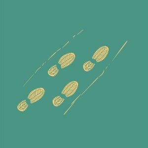 6 Personal Carbon Footprint Calculators (and How to Use Them Efficiently) Image